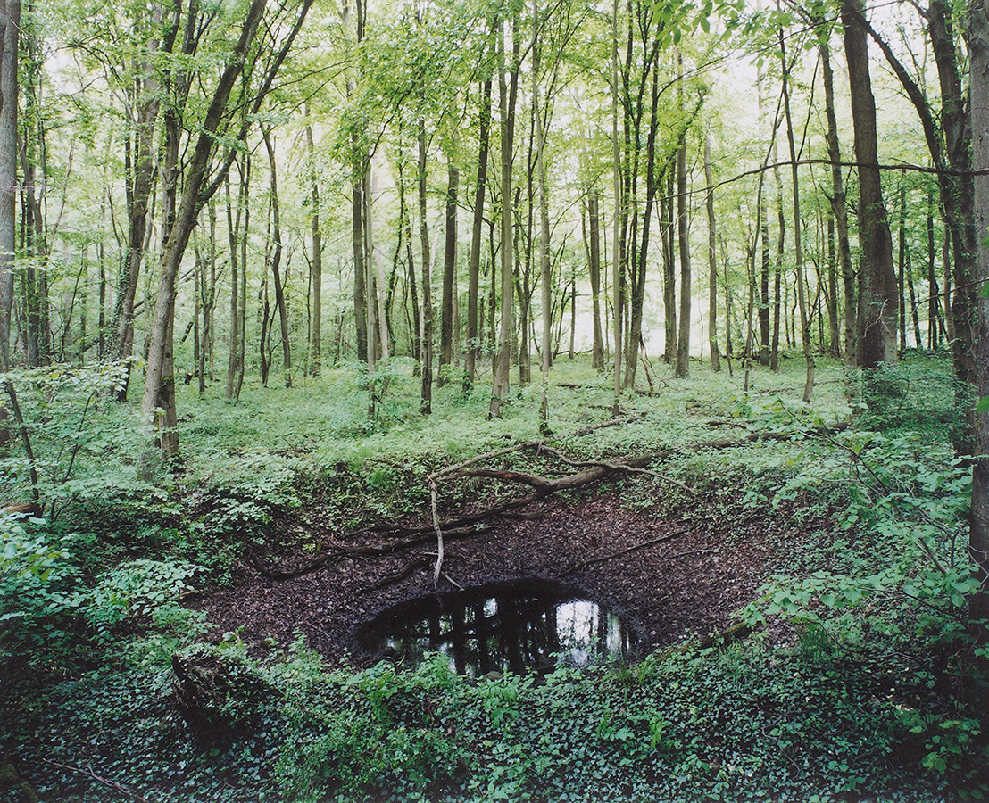 #56 Altwarmbüchener Moor, Hannover, 2010 C-Print, 61.5 x 76 cm