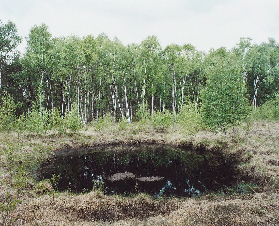 #56 Altwarmbüchener Moor, Hannover, 2010
C-Print, 61.5 x 76 cm