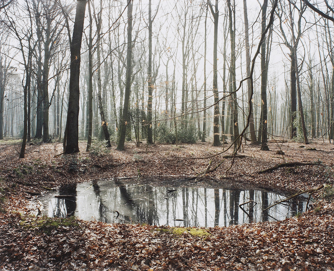 #75 Grävingholz, Dortmund, 2012
C-Print, 46 x 56 cm