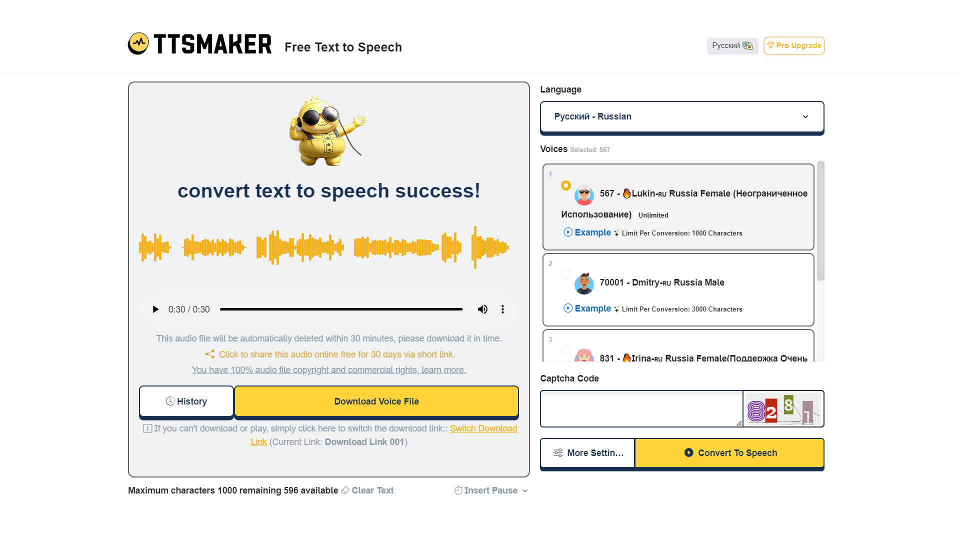 Пример страницы с результатом работы TTS Maker